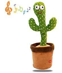 Cute cactus,4